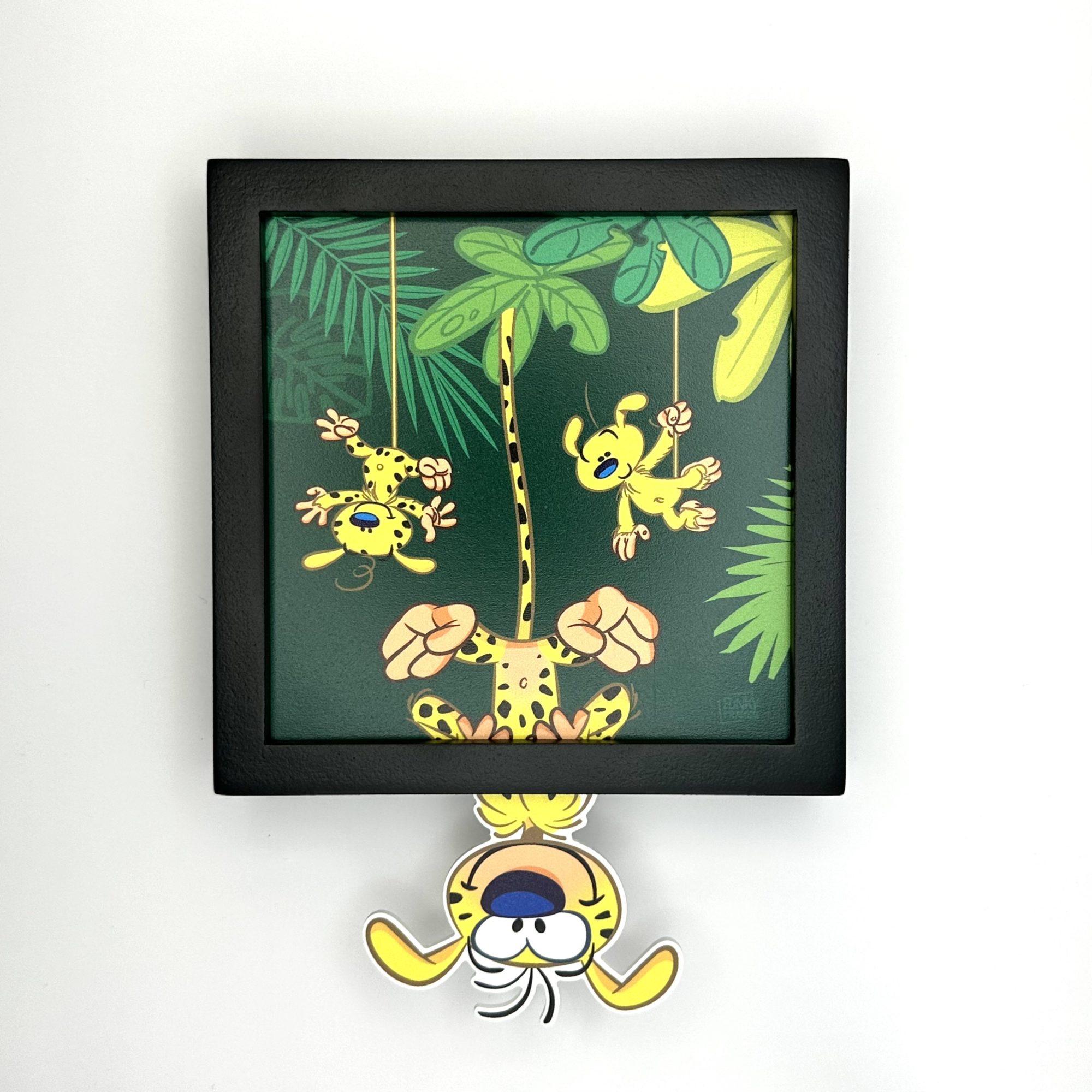 Funky Frames Escapade en palombie cadre noir