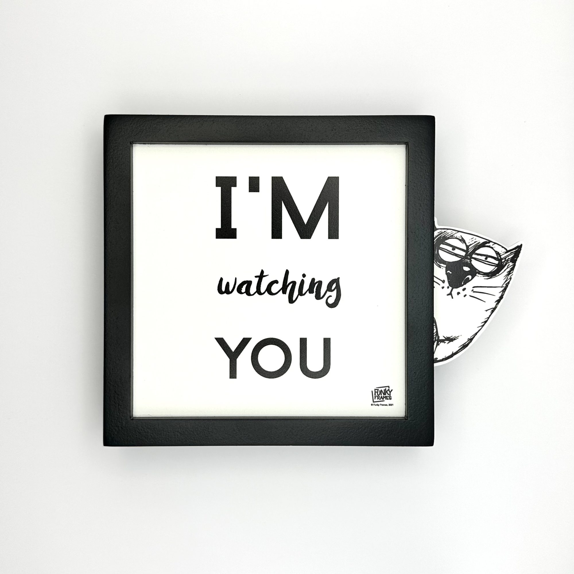 Funky Frames I'm watching you cadre noir